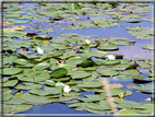 foto Lago di Fimon